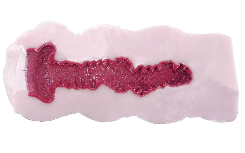 yPXSO~ʌzҗ̂ӂ@@iz[PijllP_聄